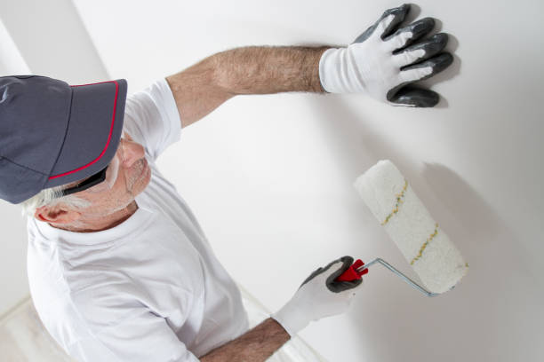 Best Mold Damage Restoration  in Bay City, OR