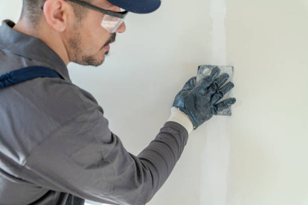 Best Black Mold Removal  in Bay City, OR