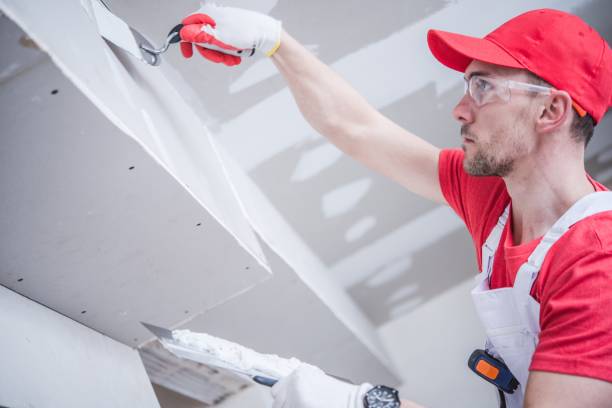 Bay City, OR Mold Removal Company